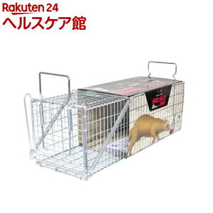 hqY ߊl Dtype NO.202 IT-2 C^`(IX)p(1)yhqYz