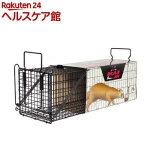 hqY ߊl Dtype NO.203 IT-3 C^`(IX)p(1)yhqYz