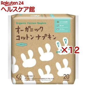 I[KjbN RbgivL ӂ̓p H 21.5cm(20×12Zbg)yRbgE{z