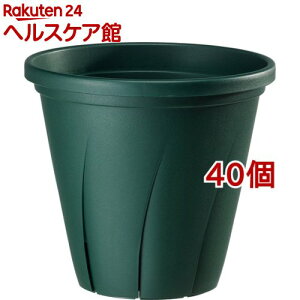 ͂蔫 10 _[NO[(9.6L*40Zbg)yavX`bNz
