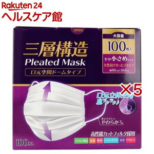三層構造プリーツマスク 口元空間ドームタイプ やや小さめサイズ 大容量(100枚入×5セット)【iiもの本舗】