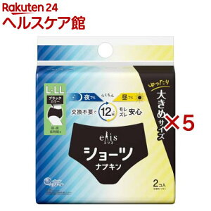 GXV[c L`LL E ԗp ubNJ[(2×5Zbg)yelis(GX)z