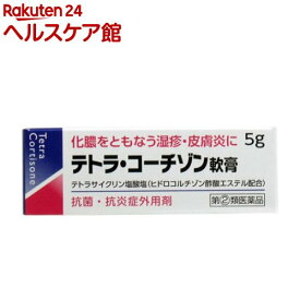 【第(2)類医薬品】テトラ・コーチゾン軟膏(5g)【伊丹製薬】