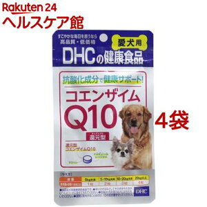 DHC p RGUCQ10Ҍ^(60*4܃Zbg)yDHC ybgz