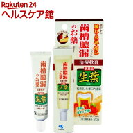【第3類医薬品】小林製薬 生葉 口内塗薬(20g)【生葉】