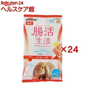 ミニアニマン 腸活生活 ウサちゃんジュレ 小松菜&りんご(10個入×24セット(1個3g))【ミニアニマン】