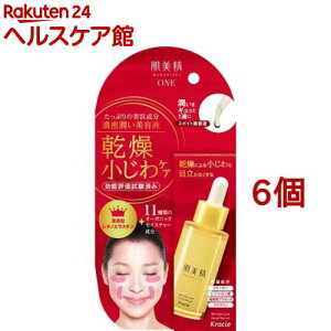 ONE NPA Zet(30ml*6Zbg)yz