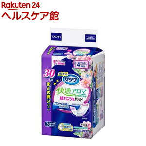 [t pcppbh KA}ӒStBbg(30)y[tz