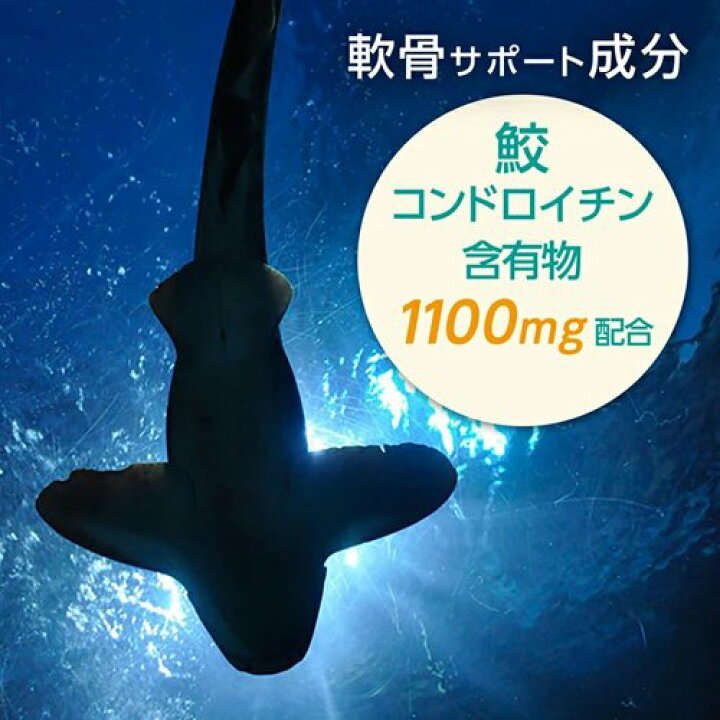 楽天市場】ファイン コンドロイチン&グルコサミン 100日分(150mg*1500粒)【ファイン】 : 楽天24 ヘルスケア館 楽天市場】ファイン コンドロイチン&グルコサミン 100日分(150mg*1500粒)【ファイン】 : 楽天24 ヘルスケア館