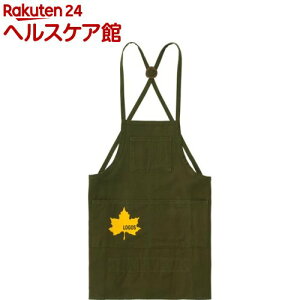 LOGOS KIDSOL[Gv-BA(1)ySX(LOGOS)z