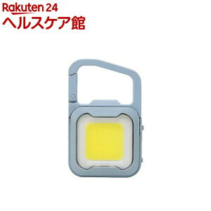 TV ҂ MINI LIGHT _XeBu[ WRC-22DB(1)