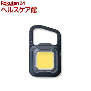TV ҂ MINI LIGHT }bgubN WRC-23BK(1)