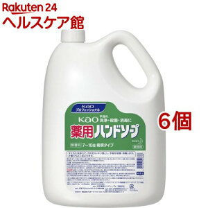 ԉvtFbVi ԉpnh\[v Ɩp(4.5L*6Zbg)yԉvtFbViz