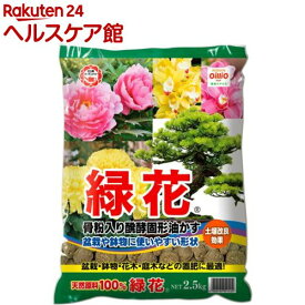 楽天市場 プランター 土 カビ 緑の通販