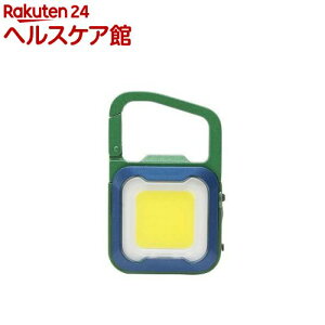 TV ҂ MINI LIGHT fB[vO[^u[ WRC-25GB(1)