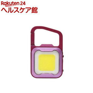 TV ҂ MINI LIGHT [Y^sN WRC-26RP(1)