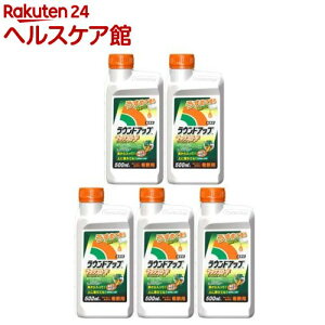  EhAbv }bNX[h t^Cv ߗp(500ml×5{Zbg)yEhAbvz