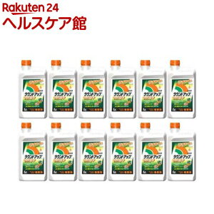  EhAbv }bNX[h t^Cv ߗp(1L×12{Zbg)yEhAbvz