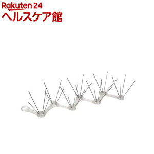 Y ZteB[3 hXpCN 50cm(1R)yZteB[3z