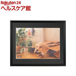 ʐ^z A3 F-SP-113-D(1)