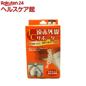 IC ԊOT|[^[ (1)yIC(ACV[) ԊOT|[^[z