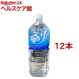 大峰山の超名水 ごろごろ水(2L*12本セット)【ごろごろ水】