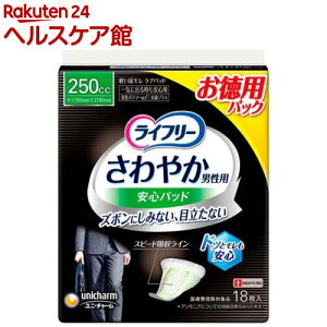 Ct[ ₩jpSpbh 250cc jpyփpbh 26cm(18)yCt[@yx@jz