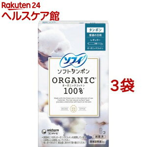 \tB\tg^|I[KjbN100 R pi ^|(8*3܃Zbg)y\tB@^|z[pi]