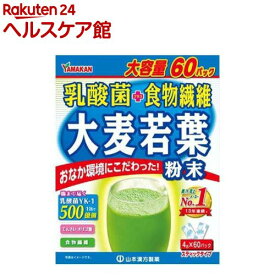 山本漢方 乳酸菌 プラス 大麦若葉 粉末(4g*60パック入)【山本漢方 青汁】