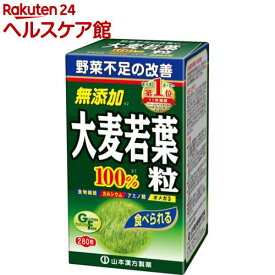 山本漢方 青汁 大麦若葉粒 100％(280粒)【山本漢方 青汁】[サプリメント 大麦若葉 野菜不足]