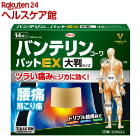 楽天市場 バンテリン Exの通販