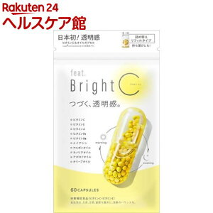 �t�B�[�g �u���C�gC �l�ߑւ����t�B���^�C�v(60����)�y�t�B�[�g�z