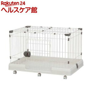 ACXI[}  P[W t [P[W RKG-900L(1)yACXI[}z