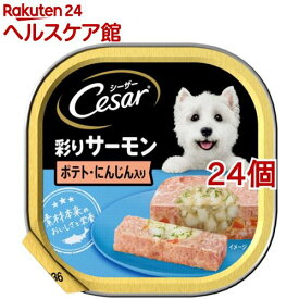 シーザー　サーモン風味　ポテトとにんじん入り　(100g*24コセット)【シーザー(ドッグフード)(Cesar)】[ドッグフード]