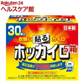 ホッカイロ 貼る レギュラー(30個入*5箱セット)【ホッカイロ】