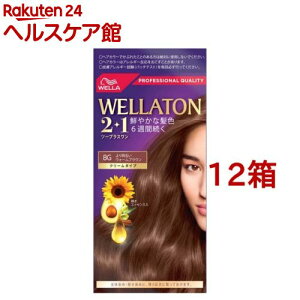 EGg[2+1 N[^Cv 8G 薾邢EH[uE(12Zbg)yEGg[z