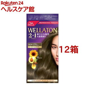 EGg[2+1 N[^Cv 8GM 薾邢}bguE(12Zbg)yEGg[z