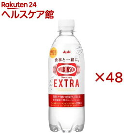 ウィルキンソン タンサン エクストラ(24本入×2セット(1本490ml))【ウィルキンソン】