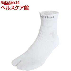 ANeBoC^ C \bNX ̃tbgT|[^[ zCg M 2907(1)