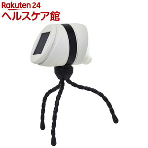 TV ǂłZT[Cg \[[ ASL-093(1)