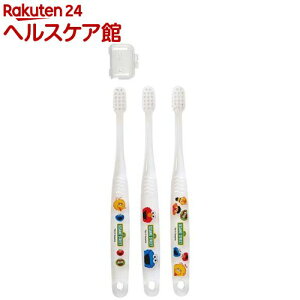 uV q LbY 3~5 3{ LN^[ ZT~Xg[g XP[^[ TBCR5T(1×3{)