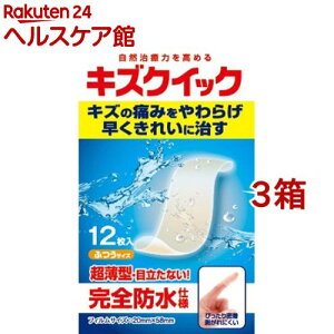 LYNCbN ӂTCY(12*3Zbg)