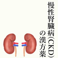 【第2類医薬品】慢性腎臓病(CKD)の漢方薬 1日2～4回服用 30日分/90日分 漢方薬 慢性腎臓病 腎臓の薬 クレ…