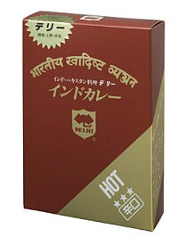 デリー インドカレー 辛口 350g 2人前 （レトルトカレー）