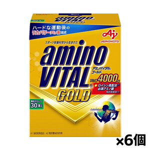 ̑f A~moC^ GOLD 30{ x6(S[h BCAA A~m_ pE_[)
