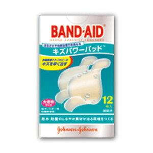 y䂤pPbgzΏہzuohGChvLYp[pbh傫߃TCY 12 iJnpj(|Xg ǐՂ胁[)