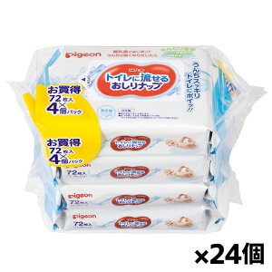 sW gCɗ邨ibv(72x4pbN) x24