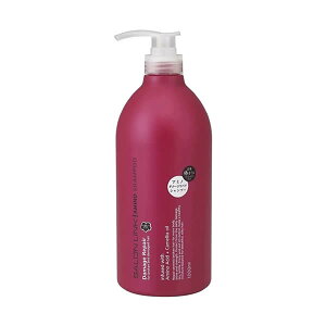 [�F�����]�T���������N �A�~�m �_���[�W���y�A �� �V�����v�[ 1000ml (SALON LINK)