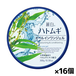 [F]픒 ngM I[CWF 300g x16(VRێ ngMGLXz 1i5  F)