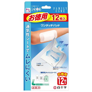 \ FC(t@~[PA)^b`pbh LTCY p 12(Jnp ΂񂻂)